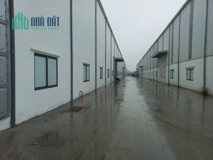CHO THUÊ KHO, XƯỞNG TẠI CHỈ ĐẠO. VĂN LÂM. HƯNG YÊN