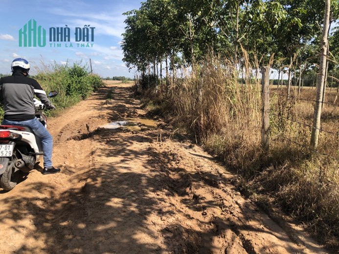 Đất vườn giá rẻ, không gian sống trong lành, tốt cho sức khoẻ.