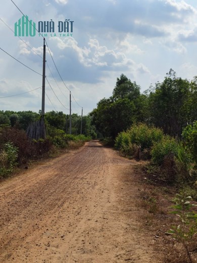 Đất vườn giá rẻ, không gian sống trong lành, tốt cho sức khoẻ.