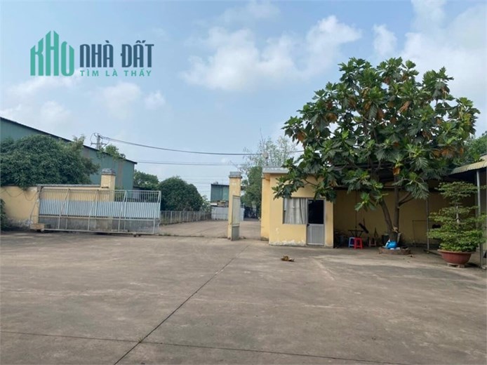 Nhà Xưởng P.Phước Tân cho thuê phục vụ sản xuất, kho bãi.