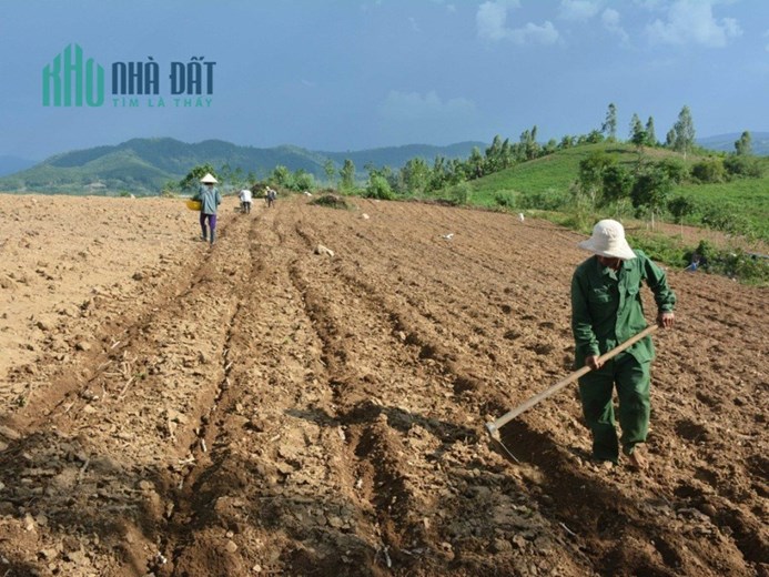 Cơ hội Đầu Tư Tuyệt Vời – Đất Vườn Sổ Sẵn chỉ từ 472 nghìn/m2