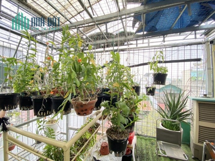 Bán nhà 74m2 5 ngủ Ngõ 210 Nghi Tàm, Tây Hồ 10m Ô tô tránh Giá đầu tư 7.3 Tỷ