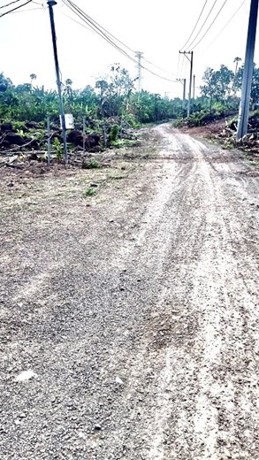 Chính chủ cần bán gấp 19.000 m2,tặng căn nhà cấp 4.