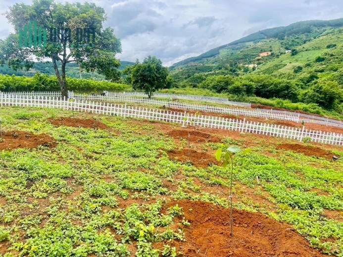 ĐẤT VEN ĐÀ LẠT, VIEW TOÀN THỊ TRẤN NAM BAN, CAM KẾT GIÁ RẺ.