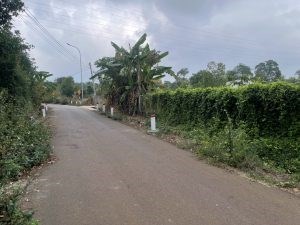 Chính Chủ Cần Bán Lô Đất Vườn Bơ Vị Trí Đẹp Tại Bà Rịa Vũng Tàu