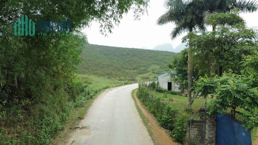 Bán siêu phảm 8.4ha 300m thổ cư bám hồ đất thoải kinh doanh nghỉ dưỡng tuyệt đỉnh