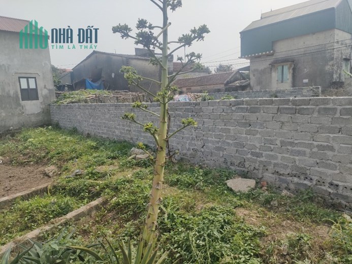 Bán đất 2 mặt thoáng, mặt tiền 5m, nở hậu, 2 ô tô tránh giá rẻ, tặng thêm 20% diện tích