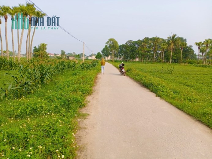 Bán gấp đất thổ cư 3 lô ( hoặc một trong 3 lô) ,chỉ 5 triệu 1m2 xã Quảng Giao, Quảng Xương, Thanh