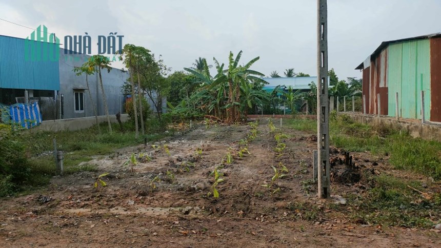 Chủ ngộp cần bán lô đất nhanh gọn, giá vô cùng hấp dẫn
