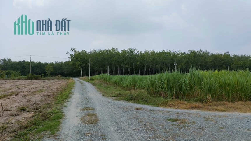 Cơ hội dự án đất nền Tây Ninh với giá 52 triệu/m2 ngang