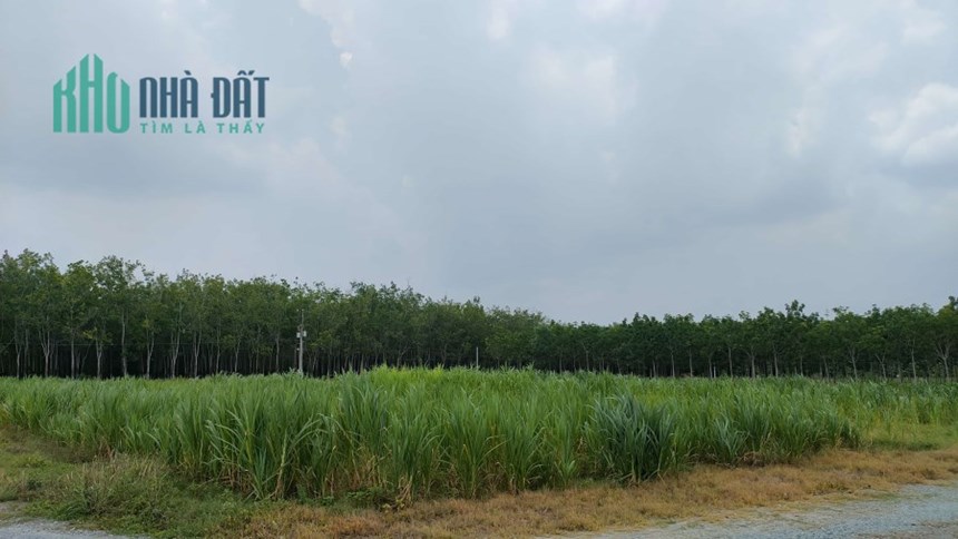 Cơ hội dự án đất nền Tây Ninh với giá 52 triệu/m2 ngang