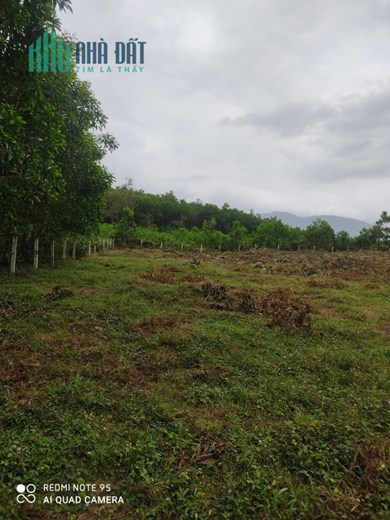 CHÍNH CHỦ BÁN NHANH LÔ ĐẤT GIÁ TỐT TRUNG TÂM HÒA PHÚ-HÒA VANG