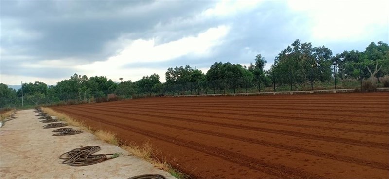 Bán 7000m2 đất kho nhà xưởng 50 năm tại Như Quỳnh, Văn Lâm, Hưng Yên