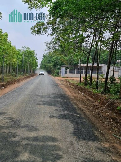 chú e ngộp ngân hàng nhờ bán lô đất thổ cư giá chỉ 250tr bao sang sổ.