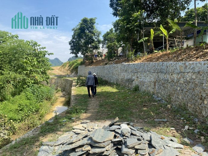 Bán gấp lô đất có diện tích 2798m2 trong đó có 200m2 thổ cư view triệu đô cánh đồng và suối