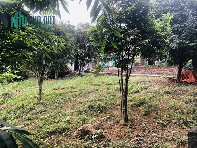 Bán gấp lô đất có diện tích 660m2 trong đó có 150m2 thổ cư view thoáng vị trí đẹp giá chỉ nhỉnh 2