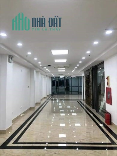 Hàng Cực Hiếm - Phố VIP Cầu Giấy bán tòa văn phòng 100m, 7 tầng, giá rẻ nhất Hà Nộ. Nhỉnh 20 tỷ