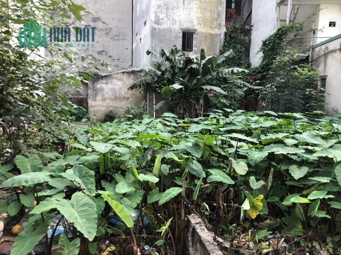 2,99 TỶ - CÓ NGAY 60M² - ĐẤT VĂN TRÌ - PHÂN LÔ, Ô TÔ TRÁNH, KD V.I.P