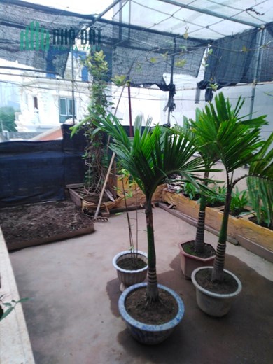 BÁN NHÀ PHỐ Xuân La, Tây Hồ, 114m2, MT rộng, oto, chỉ 15.99 tỷ: hung1st