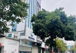 Bán toà Building 8 tầng 115m2 mặt phố Dương Đình Nghệ, Cầu Giấy, có hầm, thang máy, vỉa hè,