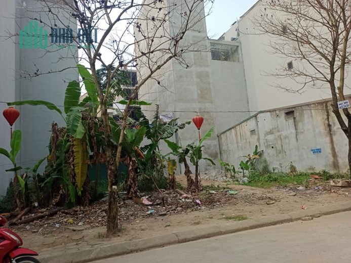 Chính chủ cần bán khu đất dịch vụ Đìa Lão