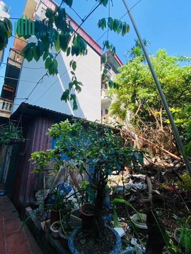 Bán đất Lương Khánh Thiện, Nguyễn Đức Cảnh, Hoàng Mai gần 30m2 giá 999 triệu.