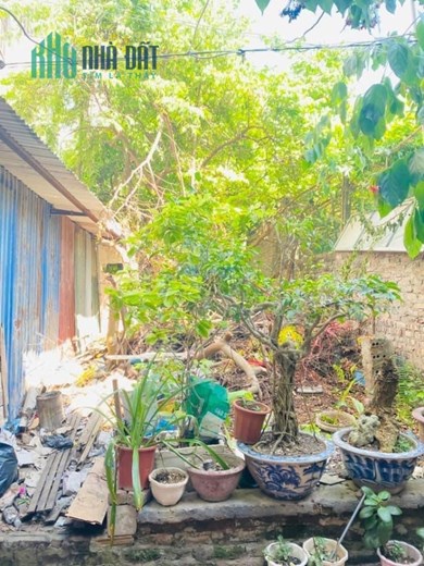 Bán đất Lương Khánh Thiện, Nguyễn Đức Cảnh, Hoàng Mai gần 30m2 giá 999 triệu.