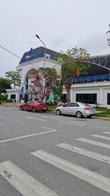Bán Đất Cổ Dương Tiên Dương Đông Anh giá 4x đường ô tô tránh diện tích 60m2
