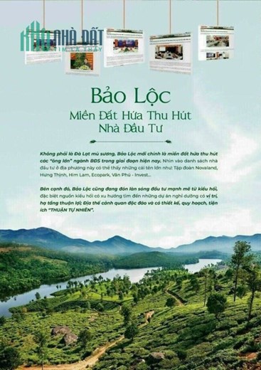 DUY NHẤT 40 nền - Giai đoạn F1 - Chỉ:"330 TRIỆU".