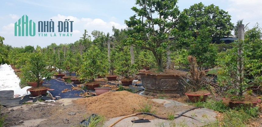 Chính chủ cần bán lô đất ở xã Bình Lợi huyện Bình chánh Tp HCM