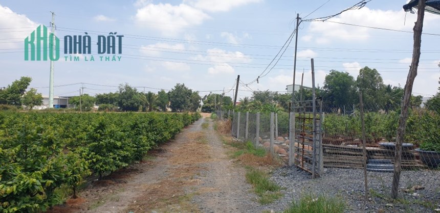 Chính chủ cần bán lô đất ở xã Bình Lợi huyện Bình chánh Tp HCM
