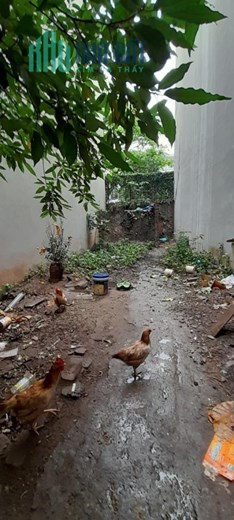 Siêu phẩm 2 THOÁNG, Ô TÔ vào đất, DT 75m, Minh Khai, HBT, KINH DOANH, Văn phòng, CCMN ĐỈNH