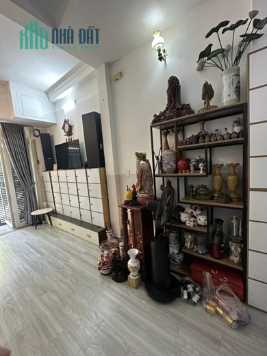 bán CHDV bờ bao tân thắng -13 phòng -dòng tiền sẵn