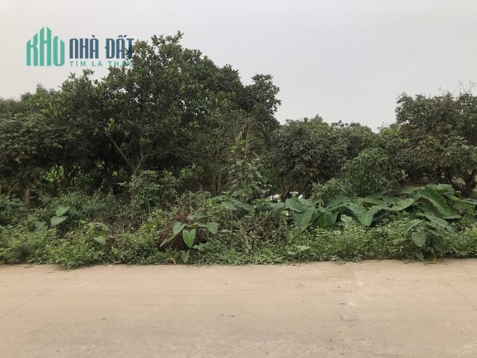 GẤP … RẤT GẤPPP - 51M² CẦU DIỄN - PHÂN LÔ, Ô TÔ TRÁNH, KINH DOANH - 5,1 TỶ