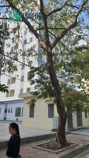 Bán căn hộ 57m2 tại Sài Đồng giá 1,7 tỷ bàn giao ở ngay, sđ lâu dài.