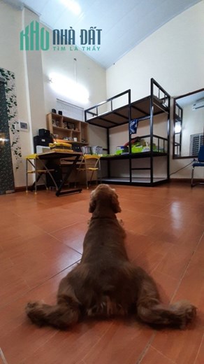 Chính chủ cho thuê nhà cấp 4, diện tích 35M2, 3 mặt thoáng, ô tô đỗ cửa. Vị trí ngõ 181 Nguyễn Văn