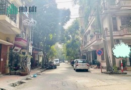 Bán Nhà Phân Lô Đầm Trấu 65m x5 t - 12,8 tỷ