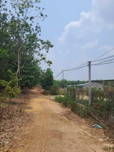 Cần Bán 8 Lô Đất Mặt Tiền Vị Trí Đẹp Tại Tỉnh Tây Ninh