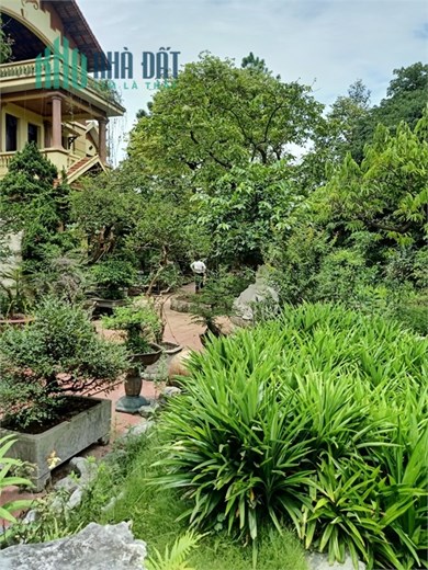 Cần chuyển nhượng 3ha đất TMDV tại mặt đường gia lâm, Huyện Gia Lâm, PT Hà Nội