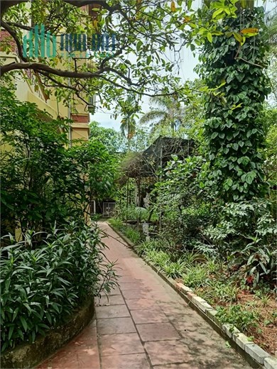 Cần chuyển nhượng 3ha đất TMDV tại mặt đường gia lâm, Huyện Gia Lâm, PT Hà Nội