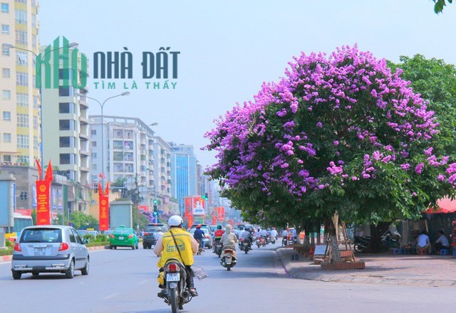 Bán nhà mặt phố Đào Tấn, DT 110m2, MT rộng 6m, vỉa hè đá bóng, kinh doanh quận Ba Đình