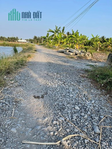 Sở Hữu Ngay Lô Đất Vườn Đường Ô Tô, Giá Cực Rẻ Tại Thân Cửu Nghĩa, Châu Thành, Tiền Giang