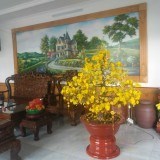 BÁN BIỆT THỰ KHU HÀNH CHÍNH TP DĨ AN 286M, HAI MẶT TIỀN. 3 LẦU, HOÀN CÔNG. GIÁ CHỈ 16.5 TỶ