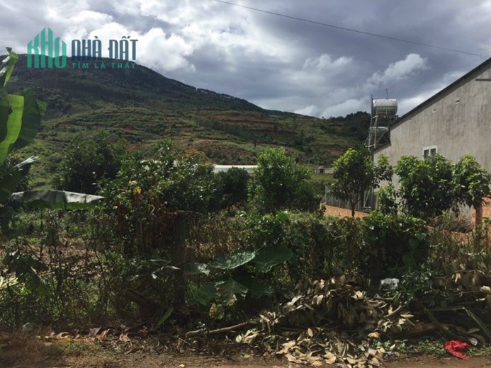 Cần bán lô đất đường Đông Thanh, X.Đông Thanh, Lâm Hà, Lâm Đồng