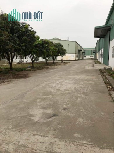 CHO THUÊ KHO, XƯỞNG TẠI CCN TÂN QUANG. VĂN LÂM. HƯNG YÊN.