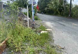 Bán đất Thích Thiện Hòa Bình Chánh TPHCM