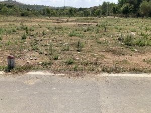 Cần Bán Lô Đất Vị Trí Đẹp Tại xã Diên Hoà – Diên Khánh ( Cách quốc lộ 29c 500m)
