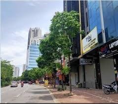 SIÊU ĐẤT MẶT PHỐ KINH DOANH ĐA NGÀNH NGHỀ GIẺ NHẤT KHU VỰC PHỐ NGUYỄN HOÀNG SAU BẾN XE MÝ ĐÌNH VỈA