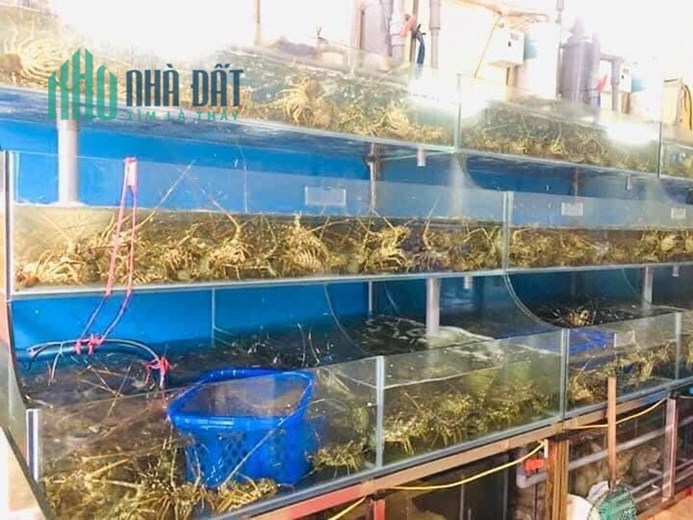 THANH LÝ ĐỒ QUÁN BÁN HẢI SẢN TƯƠI SỐNG!!!