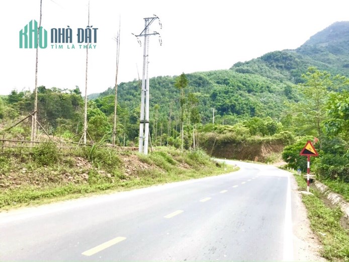 Bán gấp lô đất có diện tích 4,4ha ( thực tế sử dụng 5ha) trong đó có 400m2 thổ cư tại Toàn Sơn - Đà